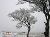 Надвигается снежная буря: прогноз погоды 23 января 