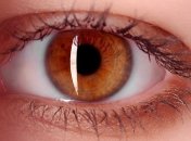 Создан имплант для сетчатки глаза