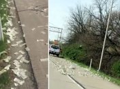 В США "с неба" посыпались доллары (Видео)