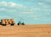 Поддержка ферм и пасек: Кабмин потратит миллиард гривень