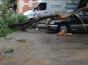 Кабмин выделил Одессе 27,5 млн грн на ликвидацию последствий урагана