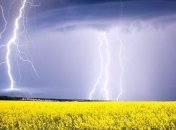 На Луганщине молния убила двух человек 