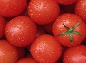 Какие продукты помогут в развитии интеллекта?