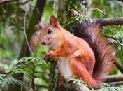 Приметы и обряды на 5 апреля – Никонов день