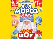 Новогоднее Фикси Шоу "Дед Мороз существует" в Киеве