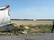 Эксперты завершили работу на месте крушения "Боинга"