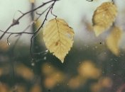 Прогноз погоды на 29 ноября: ожидается мокрый снег во всех регионах