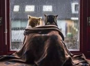 Мокрый снег, холод и грязь почти повсеместно: какие области Украины сегодня во власти плохой погоды