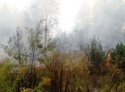 За сутки в Житомирской области ГСЧС ликвидировала два десятка возгораний 