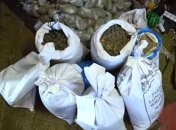 На Киевщине правоохранители изъяли центнер марихуаны (Видео)