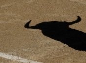 Во Франции бык, спасаясь от пикадора, прыгнул на зрителей