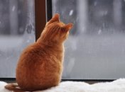 В Україні погода буде мінливою