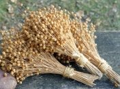 16 сентября - праздник, что категорически запрещено делать, главные приметы