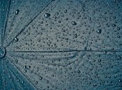 В Украине пройдут дожди и похолодает: прогноз погоды на 17 августа