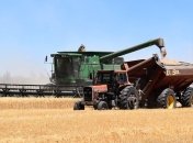 Украина увеличила экспорт зерновых на 40%