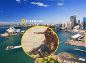 В Австралии есть улица Мазепы