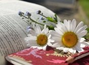 Приятного чтения и хорошего настроения: топ книг апреля 2020 года