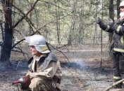 ГСЧС: Все лесные пожары в Киевской и Житомирской областях локализовали