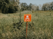 Заміновані землі