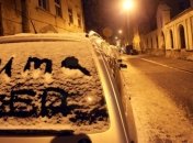 Непогоду во Львове признали чрезвычайной ситуацией местного уровня