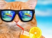 Прогноз погоды в Украине 14 августа: на западе - прохлада, а на востоке - жара