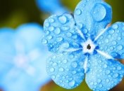 Кінець травня буде прохолодним, місцями - дощі й грози