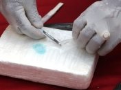 Для контрабанды кокаина в Италию использовали собак