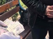 СБУ задержала сотрудников ГФС при получении взятки