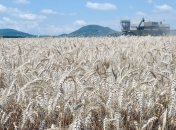 Аграрии уже намолотили 10 млн тонн зерна нового урожая