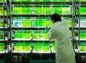 Ученые доказали, что теория Дарвина неверна