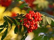 Какой праздник 29 мая: народные приметы и запреты