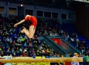 23-24 мая 2015 году состоится Международный турнир по спортивной гимнастике