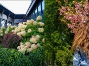 В психологической помощи в Украине нуждаются как военные, так и гражданские, — и здесь может пригодиться экотерапия