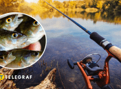 Рыбак поймал необычную рыбу