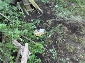 Полиция не стала наказывать невиновного