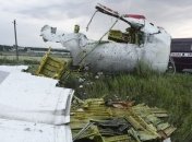 Трагедия MH17: США выразили доверие судебной системе Нидерландов 