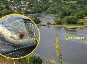 В Винницкой области поймали сома-гиганта