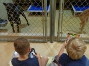 Американские дети почитали книги животным из приюта