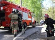 На Херсонщине из-за крупного лесного пожара возбудили уголовное дело