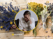 Засушені квіти вдома принесуть біду