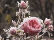 25 ноября - приметы и обряды в день Ивана