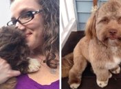 Это не фотошоп: пес с человеческим лицом напугал Сеть (Фото)