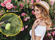 Чем  обрыскать розы от тли