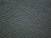 Спасатели привели статистику утопленников в Украине