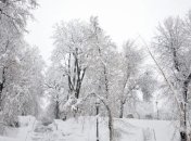 На Закарпатье снова объявили штормовое предупреждение