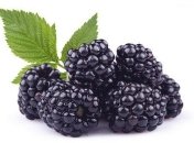 Ежевика в детском питании