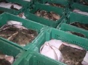 В Азовском море задержали браконьеров с уловом на миллион гривен (Видео)