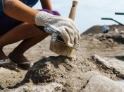 В Шотландии ученые обнаружили сенсационную находку