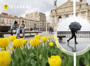 Заморозков во Львове не предполагается, только дожди