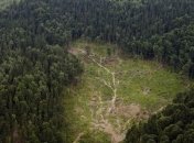 Польская туристка потерялась в Карпатах   